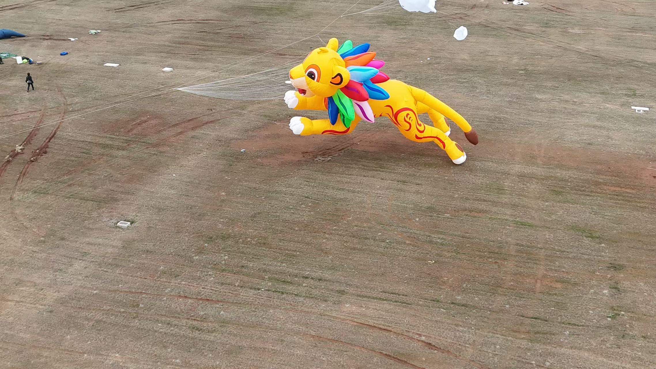襄阳市品牌风筝定制风筝商业放飞 - 价格