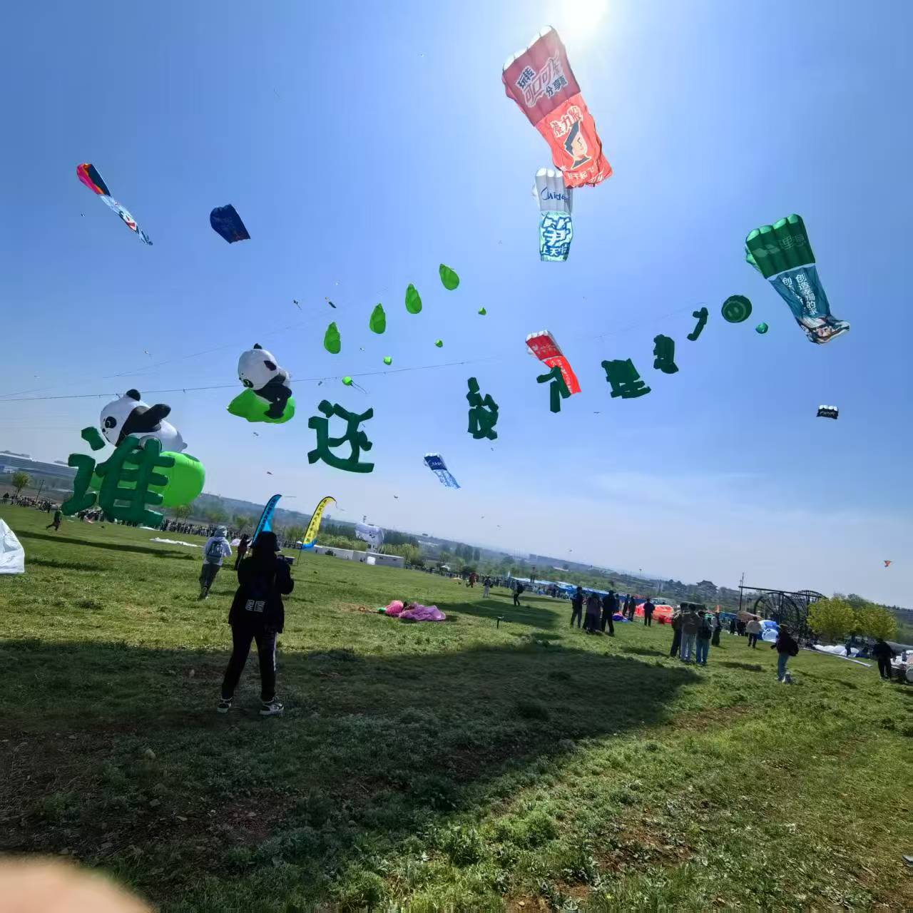 襄阳市风筝放飞活动策划风筝定制 - 推荐